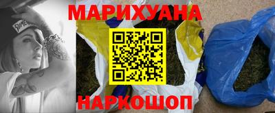 мдпв Новозыбков