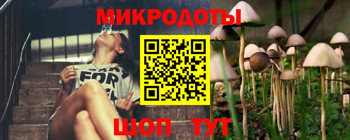 закладки  Псилоцибиновые грибы Cubensis  Вход с VPN  Серпухов 